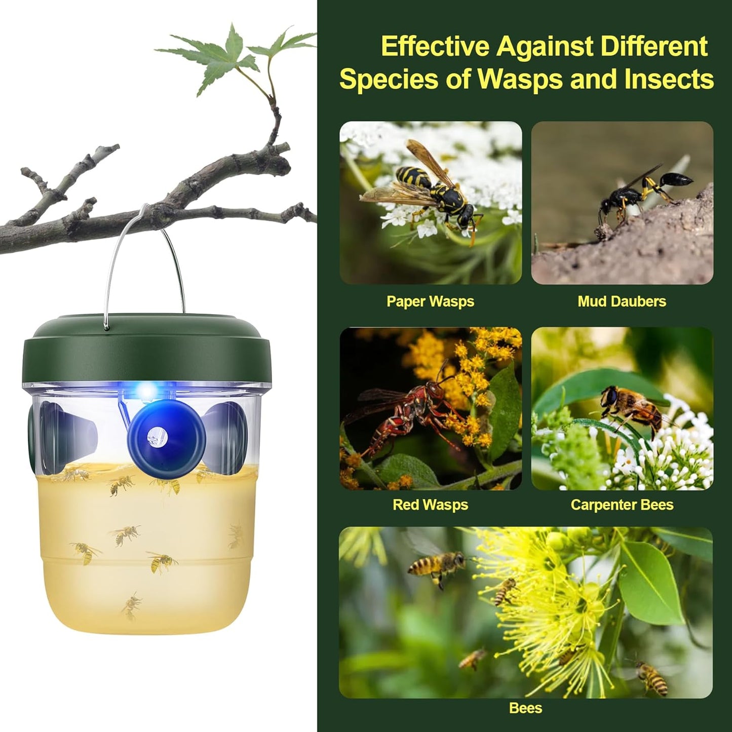 Trampas para avispas para colgar al aire libre, con energía solar.