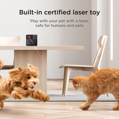 Cámara Petcube Play 2 HD Alexa Láser Para Mascotas