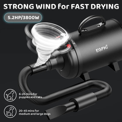 Secador de pelo para perros EGFKI, 5.2HP/3800W, 3 Boquillas.