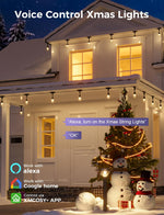 Guirnalda de luces inteligentes para exteriores, XMCOSY+ 123FT.