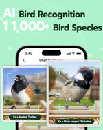 Comedero inteligente para pájaros, Panel solar Wi-Fi 2.4.