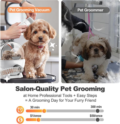 Kit Aseo Mascotas Aspiradora Grooming Afloia LM1 5 En 1