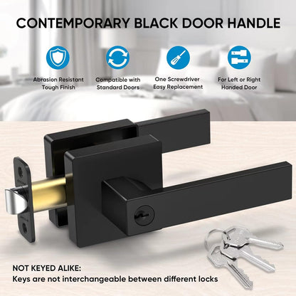 Manija de puerta negra mate resistente 2 PACK TICONN