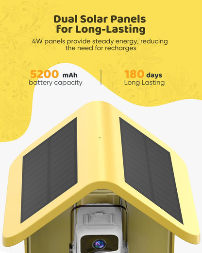 Comedero para pájaros con cámara, energía solar, identificación AI.