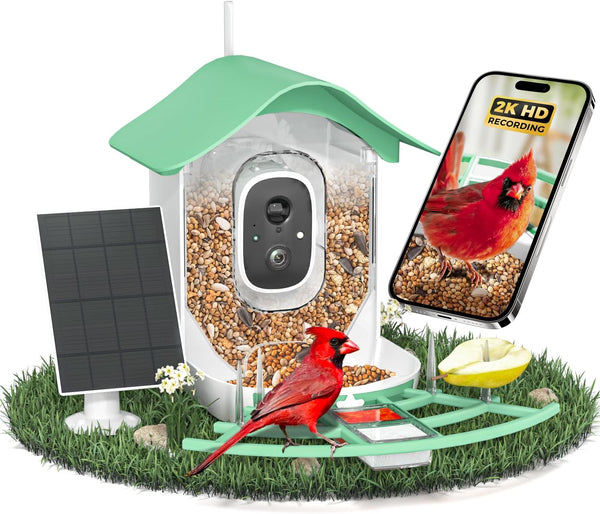 Alimentador inteligente para pájaros con cámara, 2K, panel solar.