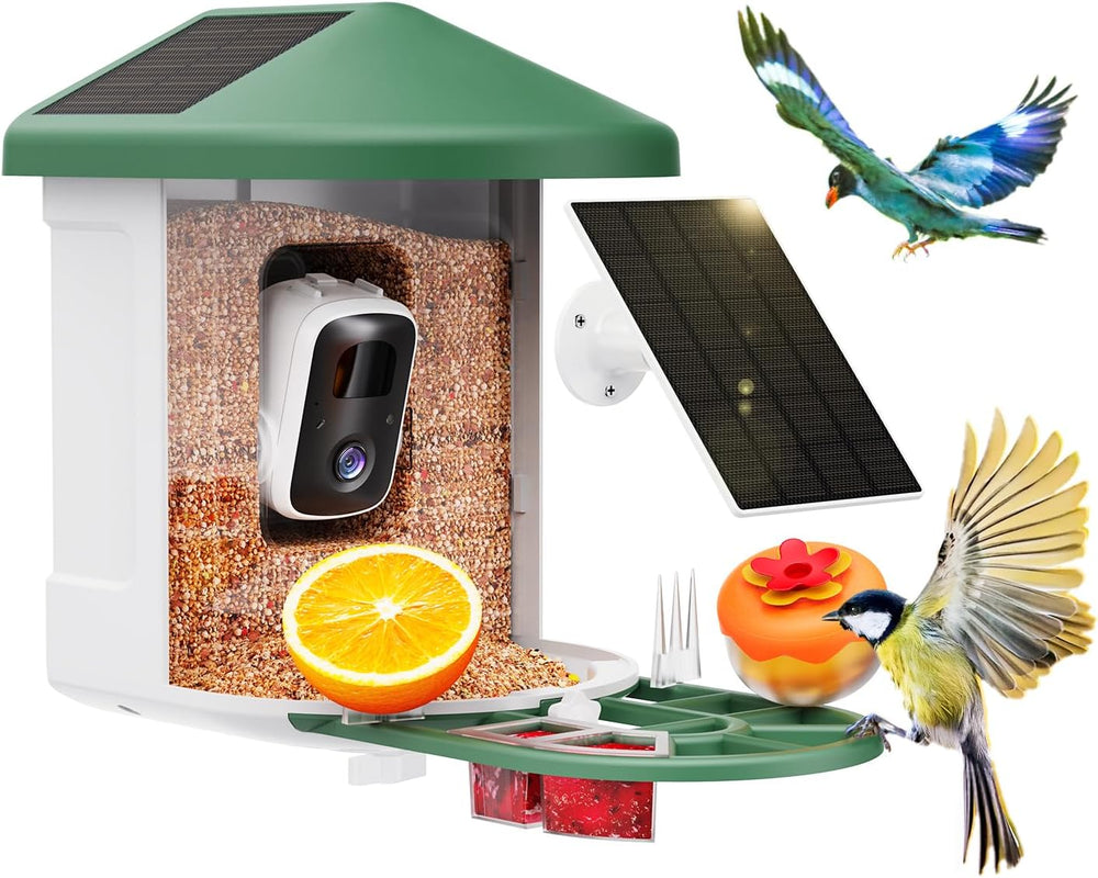 Alimentador de pájaros Harymor Q8, con cámara y panel solar.