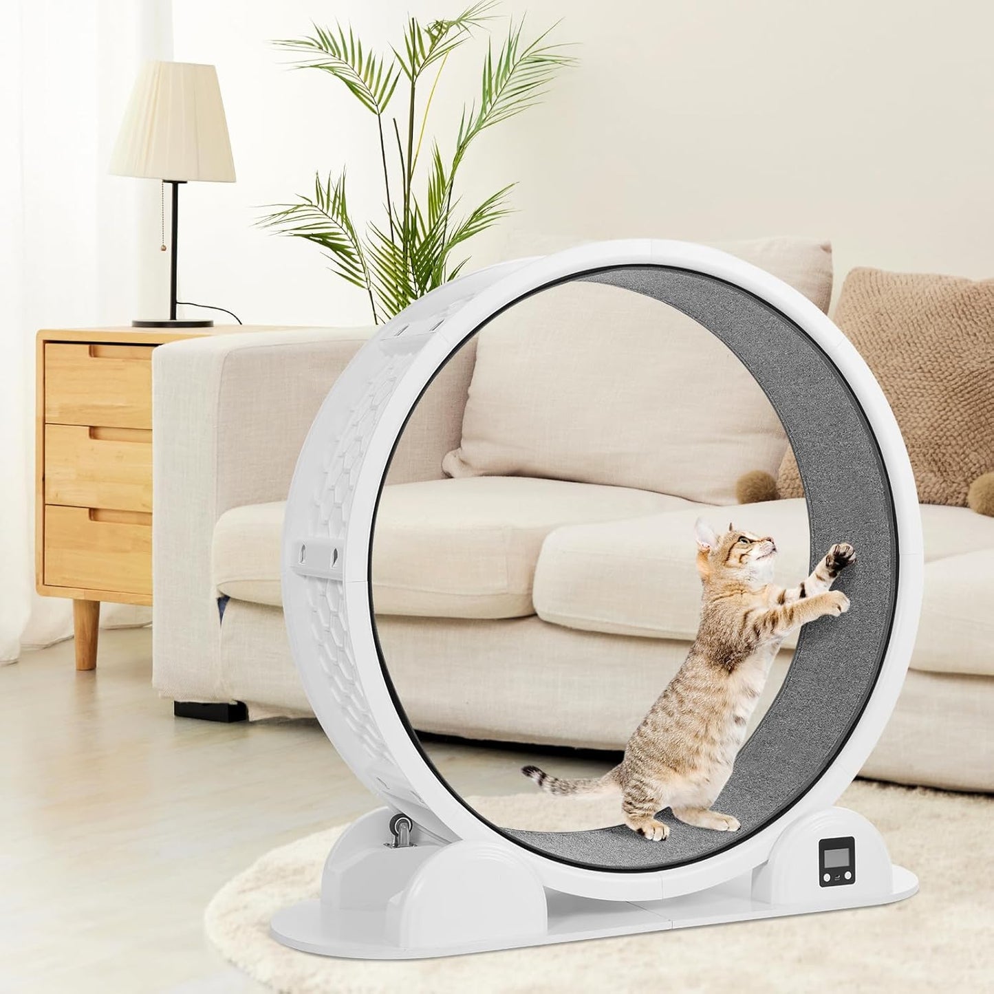 Rueda de ejercicio para gatos con podómetro, Hovono.(USADA)