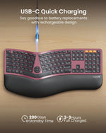 ProtoArc, Teclado ergonómico Bluetooth retroiluminado, recargable.