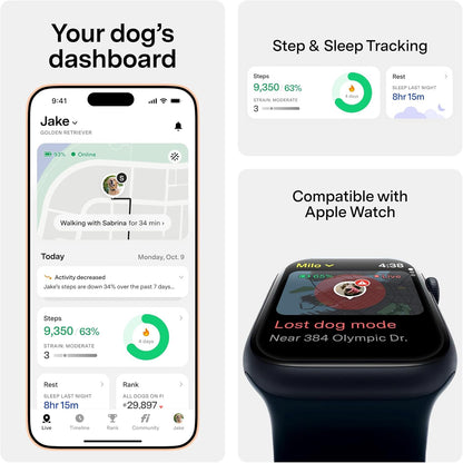 Collar inteligente para perros con GPS-AI, FI Series 3+, Talla M, Rosa.