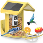 Comedero para pájaros con cámara, energía solar, identificación AI.