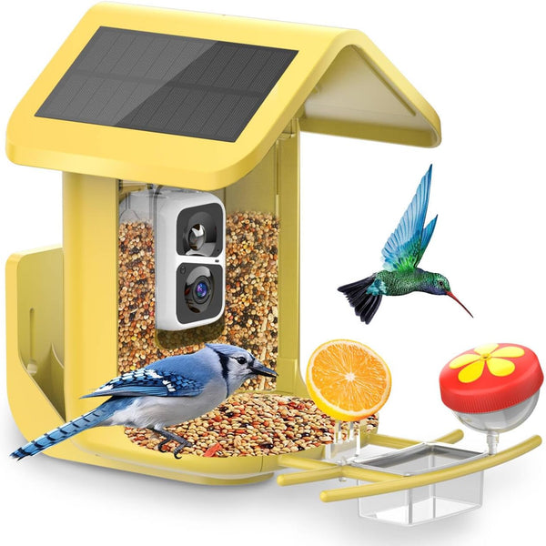 Comedero para pájaros con cámara, energía solar, identificación AI.