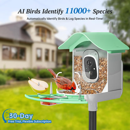 Alimentador inteligente para pájaros con cámara, 2K, panel solar.