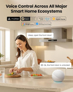 Cerradura Inteligente Lockin Veno WiFi Vena Palma (USADO)