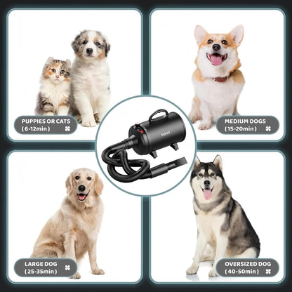 Secador de pelo para perros EGFKI, 5.2HP/3800W, 3 Boquillas.