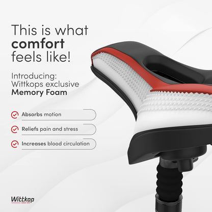 Wittkop - Asiento de Bicicleta para Hombres y Mujeres.