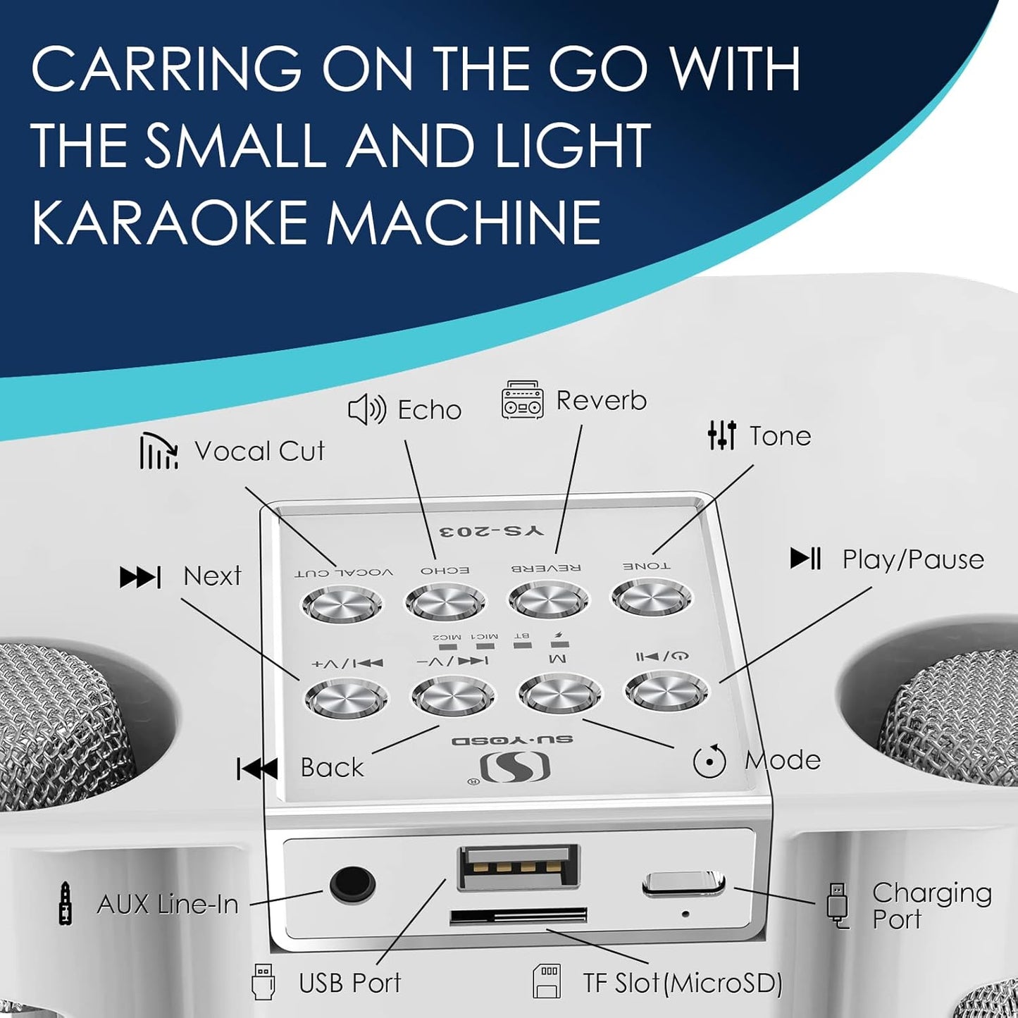 Flyasny Máquina de Karaoke con 2 micrófonos inalámbricos.