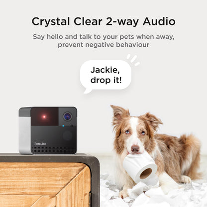 Cámara Petcube Play 2 HD Alexa Láser Para Mascotas