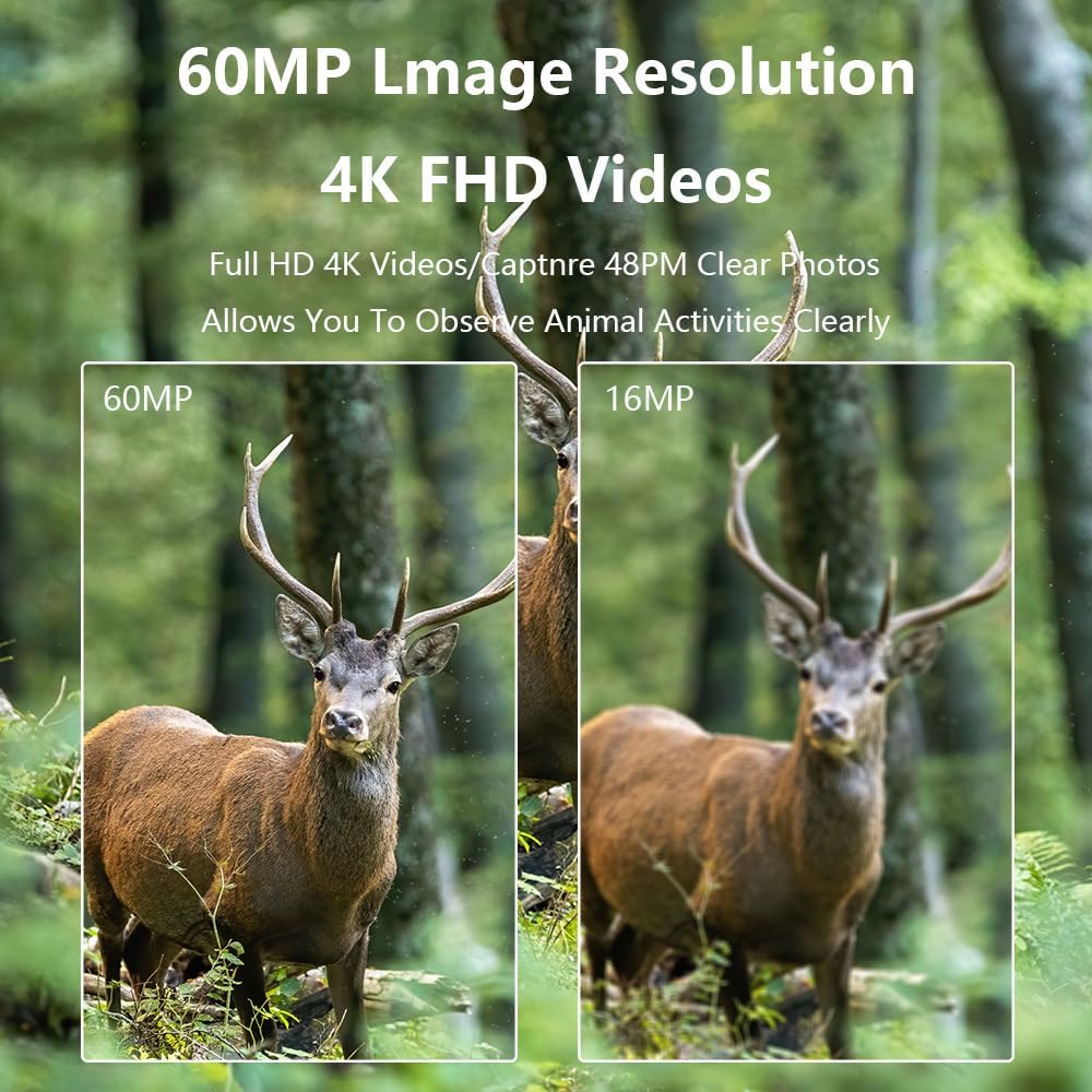 Cámaras de Caza 60MP 4K H.264 Vídeo