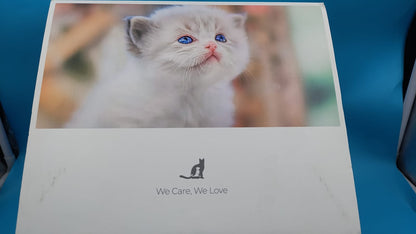 Fuente de agua Feelneedy inalámbrica para gatos, acero inoxidable