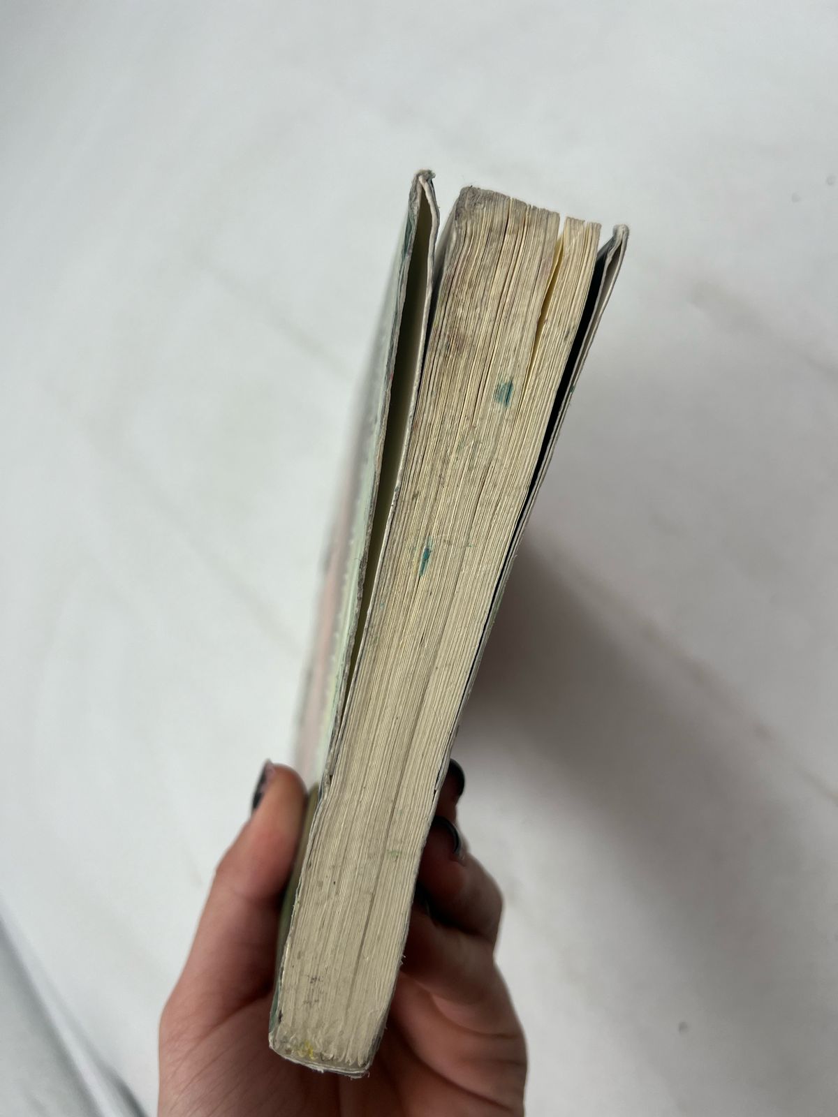 Los gatos guerreros en territorio salvaje (USADO)