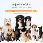 PATPET Collar de choque para perro con control remoto.(DETALLE)