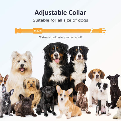 PATPET Collar de choque para perro con control remoto.(DETALLE)