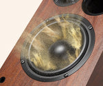 Saiyin Altavoces De Estantería Bluetooth, 40 W (X2), (USADO)