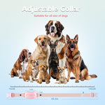 Collares de entrenamiento para perros, PATPET, control remoto.