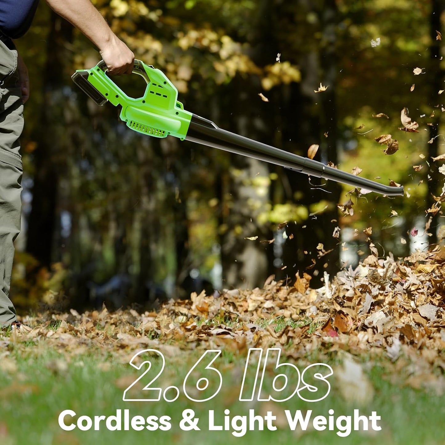 Soplador de hojas inalámbrico con batería de 5.0Ah y cargador.