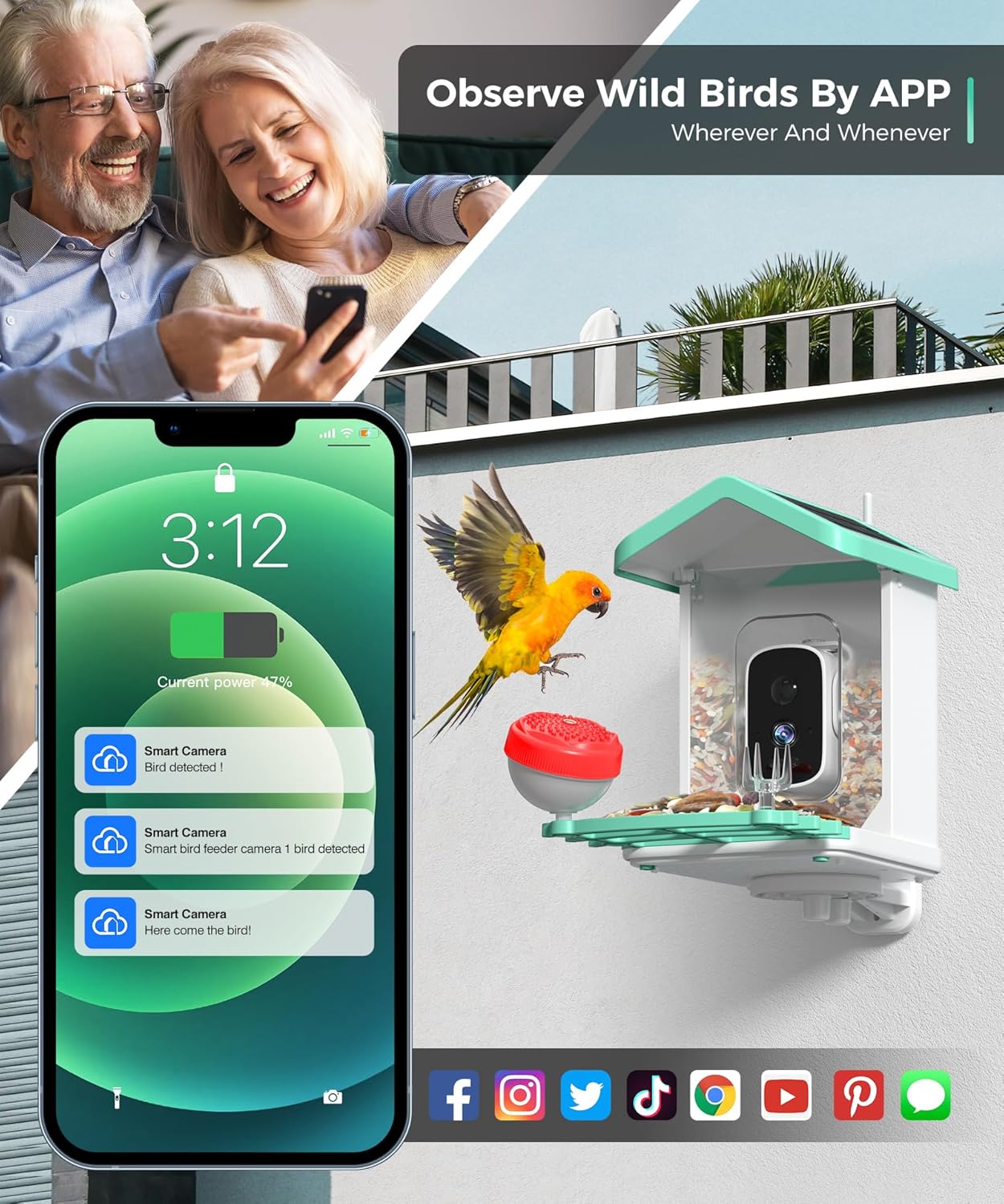 Alimentador de pájaros con cámara, Solar, AI, detección de movimiento.