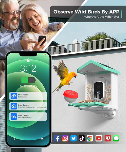 Alimentador de pájaros con cámara, Solar, AI, detección de movimiento.