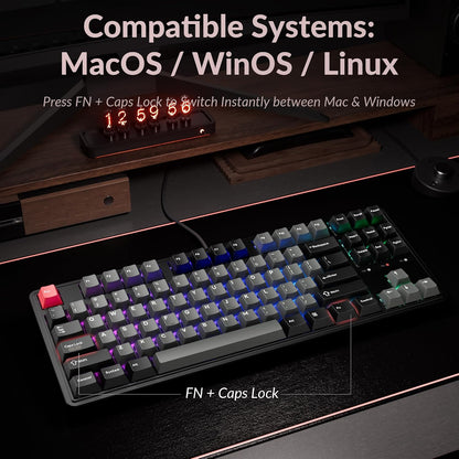 Teclado mecánico con cable Keychron C3/HE/TKL, interruptores magnéticos
