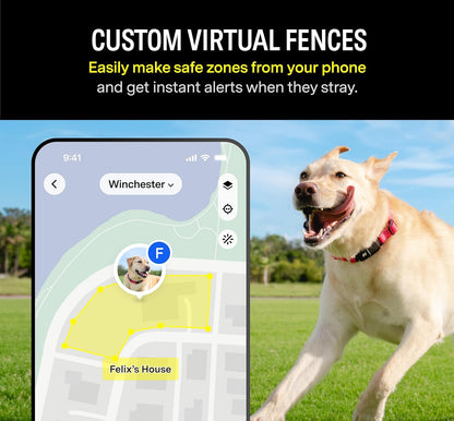 Collar inteligente para perro, Fi Series 3, GPS y alertas de escape.(L)