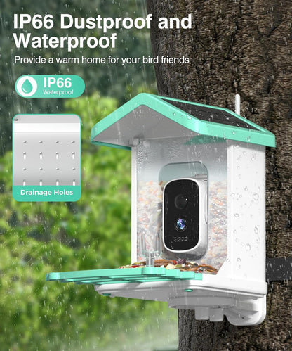 Alimentador de pájaros con cámara, Solar, AI, detección de movimiento.