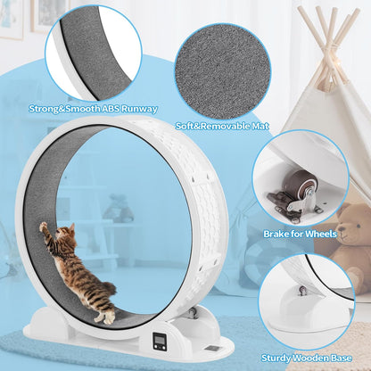 Rueda de ejercicio para gatos con podómetro, Hovono.(USADA)