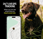 Collar inteligente para perro, Fi Series 3, GPS y alertas de escape.(L)
