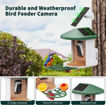 Alimentador de pájaros Harymor Q8, con cámara y panel solar.