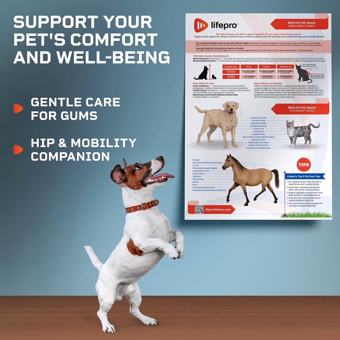 LifePro Dispositivo de terapia de luz roja portátil para cuerpo.