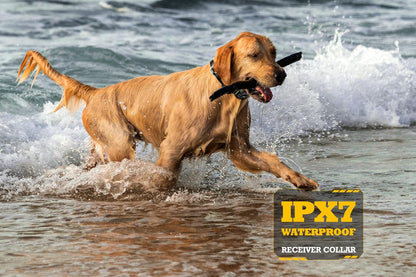 PATPET Collar de choque para perros,de 15 a 150 libras.