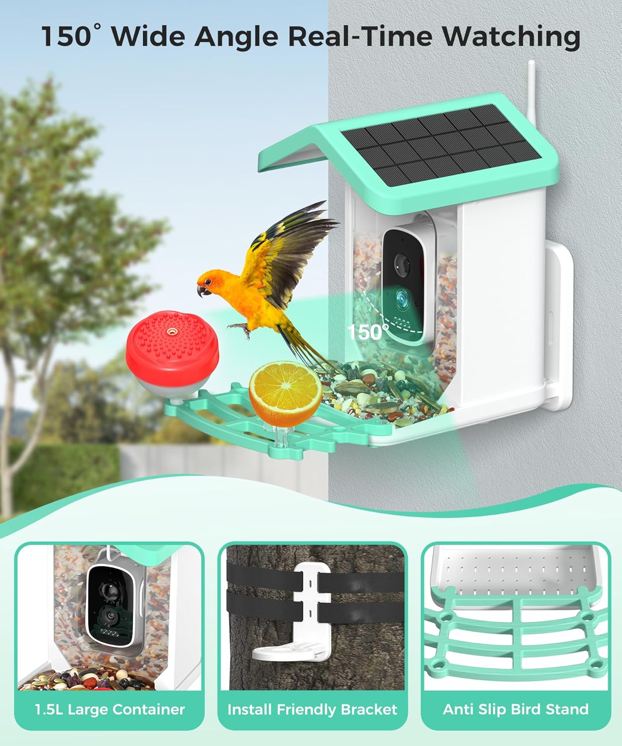 Alimentador de pájaros con cámara, Solar, AI, detección de movimiento.