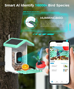 Alimentador de pájaros con cámara, Solar, AI, detección de movimiento.