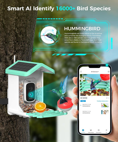 Alimentador de pájaros con cámara, Solar, AI, detección de movimiento.