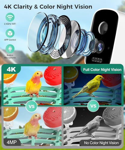 Alimentador de pájaros con cámara, Solar, AI, detección de movimiento.