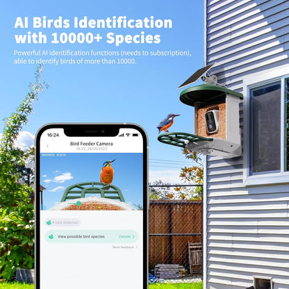 Alimentador de pájaros Harymor Q8, con cámara y panel solar.