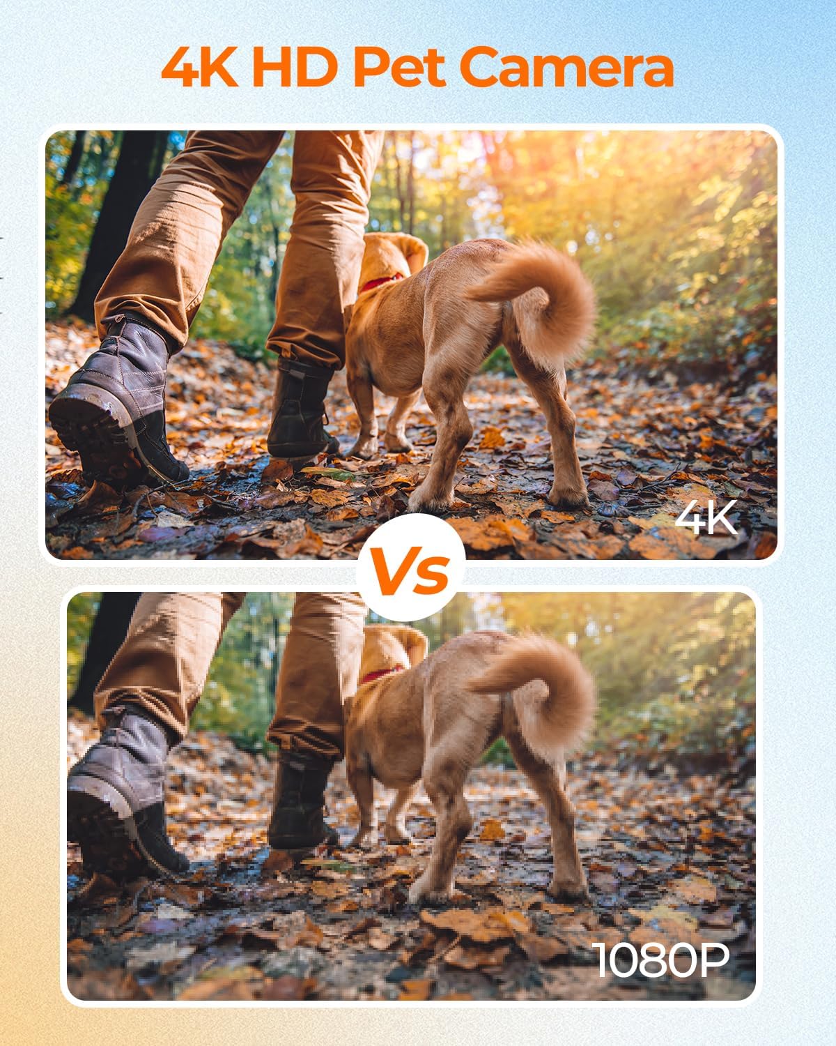 Collar de rastreador de mascota 4K, con WiFi para gatos y perros