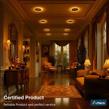 Paquete De 12 Unidades De Luces LED Amico 5CCT