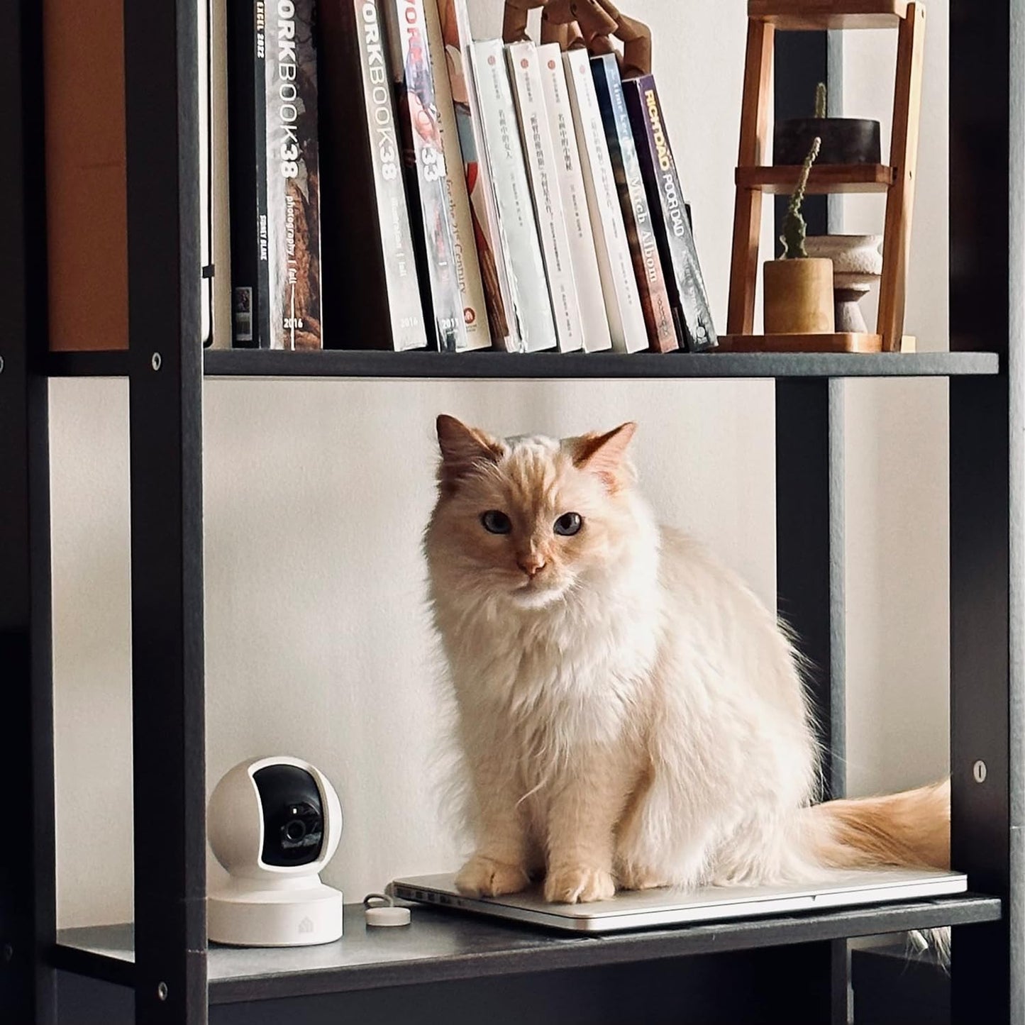 Cámara de seguridad, Smart, para interiores, det. mov.(USADO)