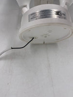 WYZE Proyector Cámara de Seguridad para el Hogar ( USADA).