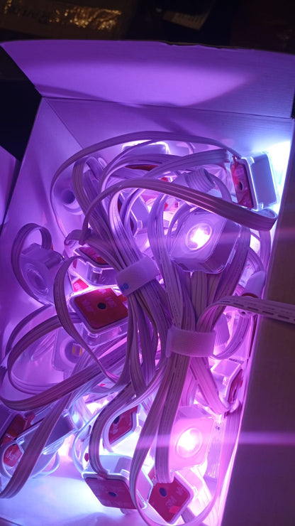 Luces permanentes para exteriores Govee H705D, RGBIC, IP67