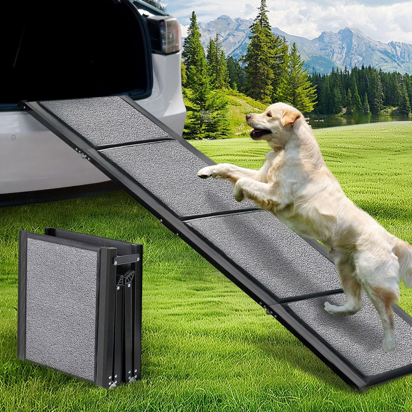 BACOENG, Rampa para perros, p/coche, Plegable, Antideslizante.